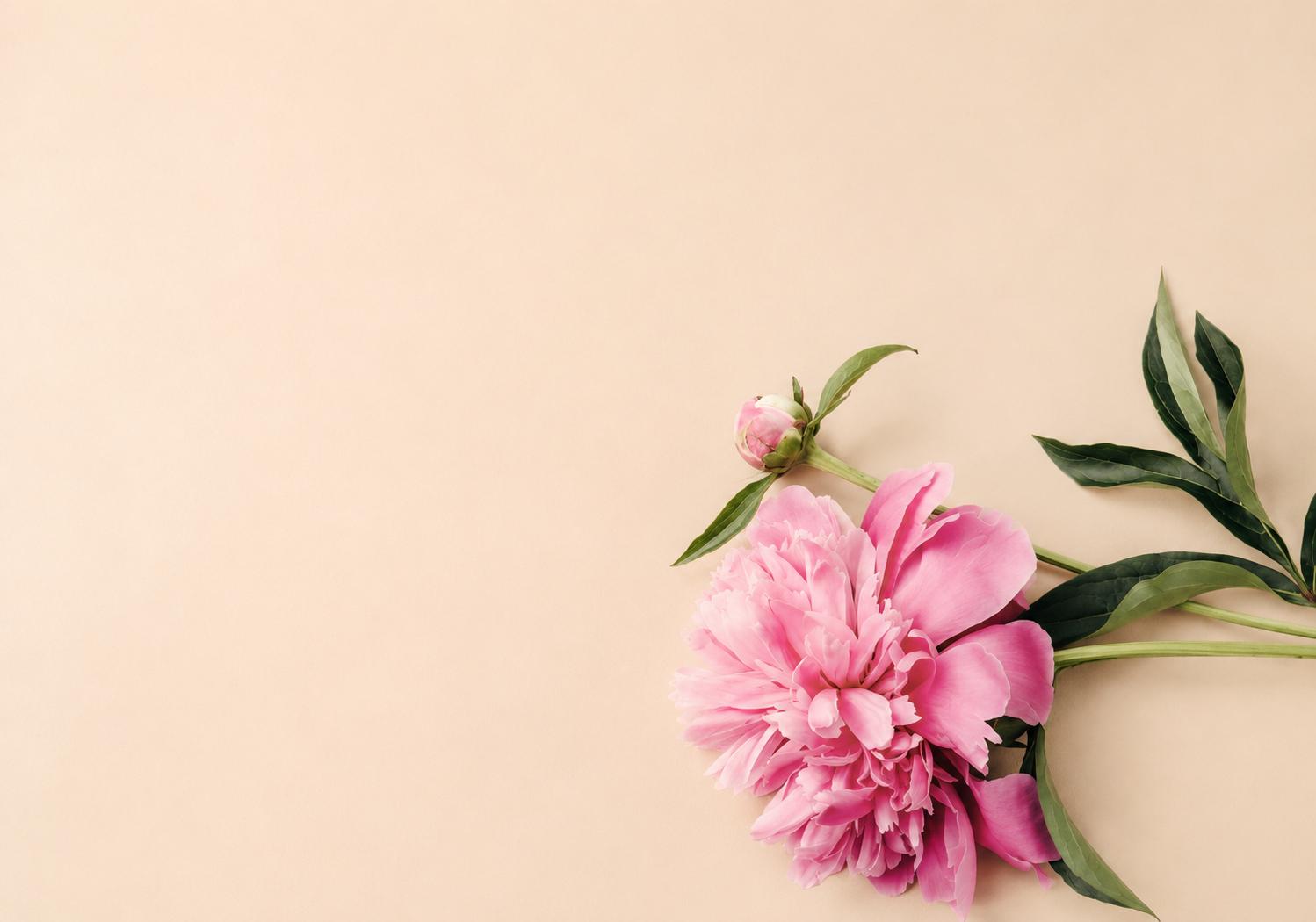 Peony Cloud Body Wash