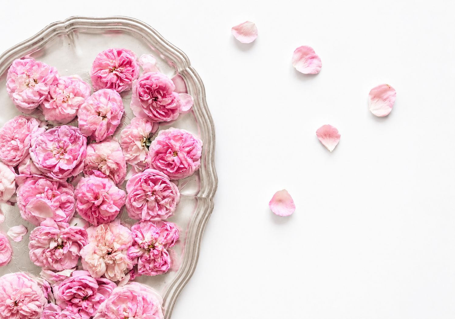 Peony Cloud Hand Wash